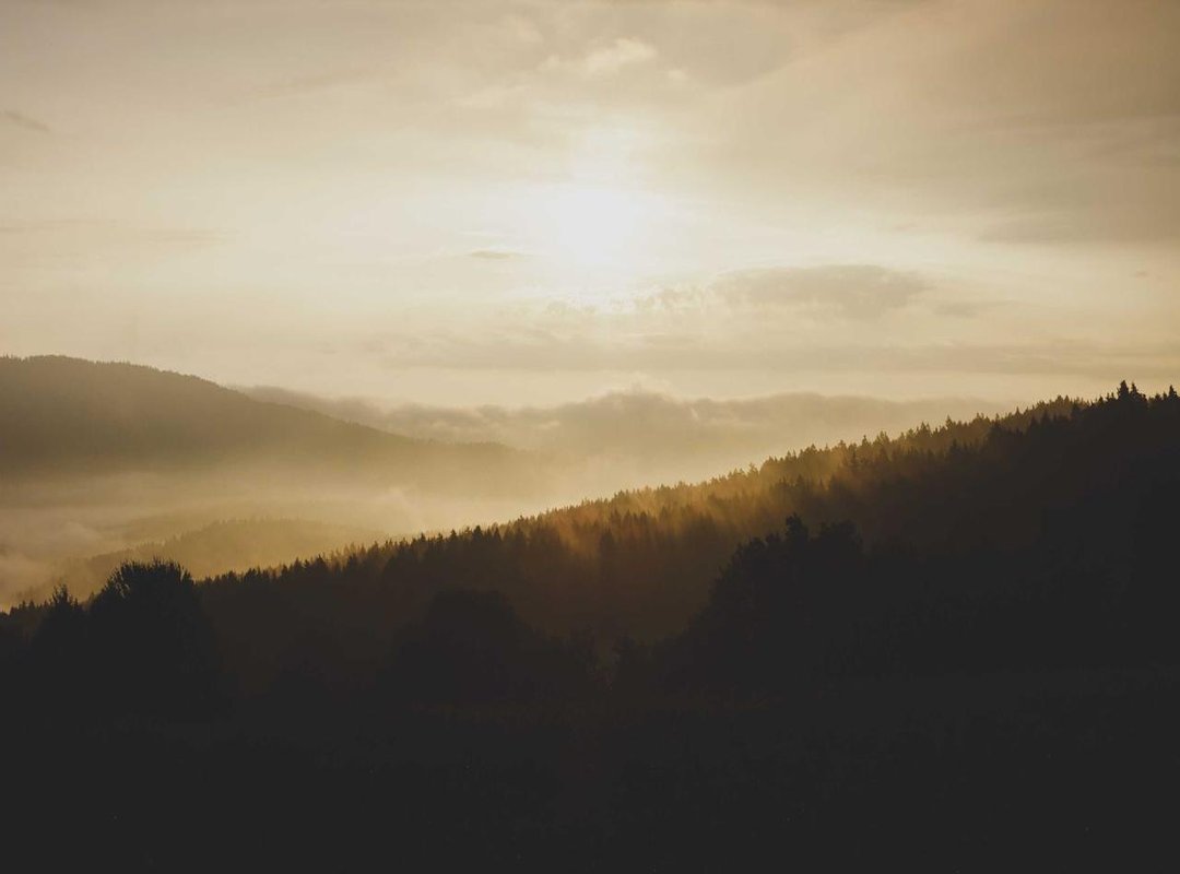 Pros and Cons: Making an Informed Decision