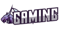 dtrgsgaming.com_logo