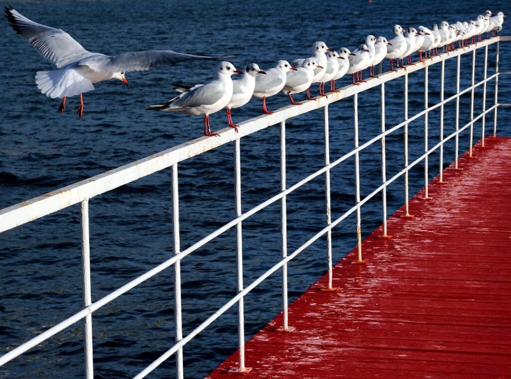 gaming glitch tutorial