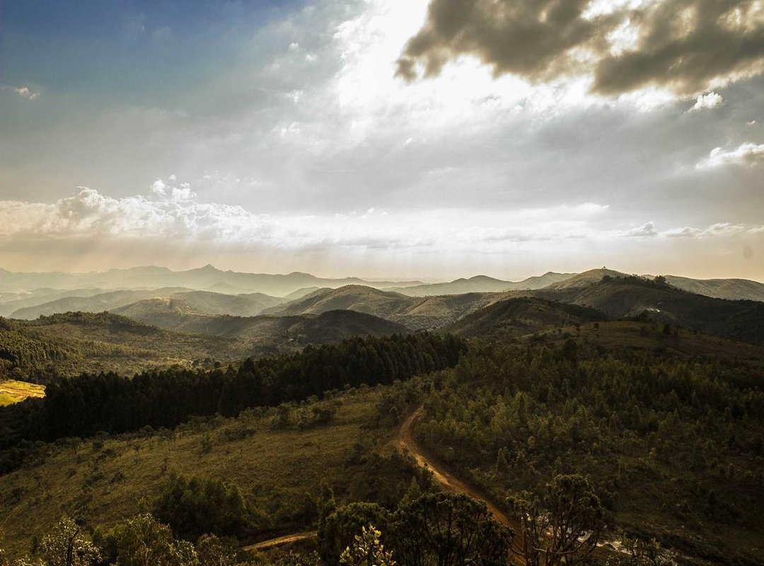 How-To Guide: Creating the Perfect Cupcake Hair Bun