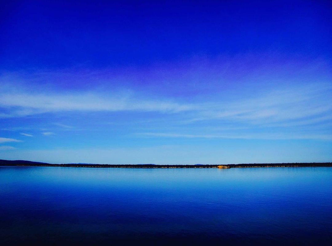 A Landmark Union: The Wedding of Jeanne and Richard Pratt