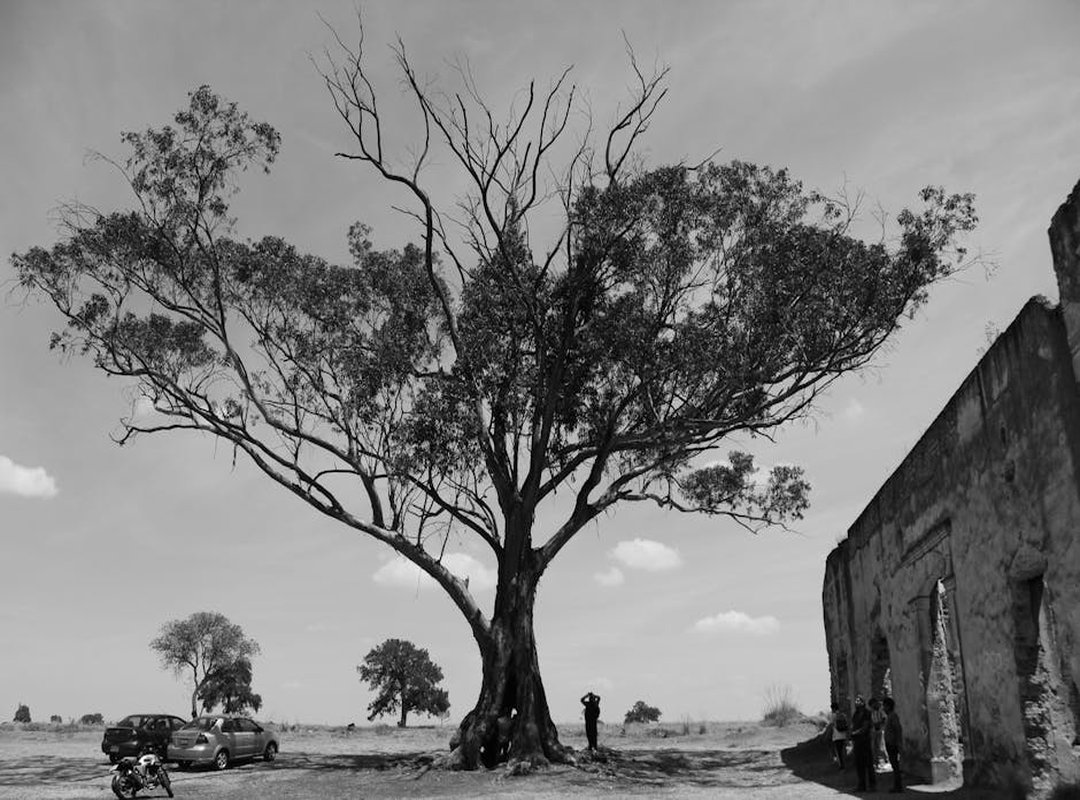 Most Important Quest on Osrs Hmcosrs