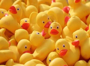 paper duck haine