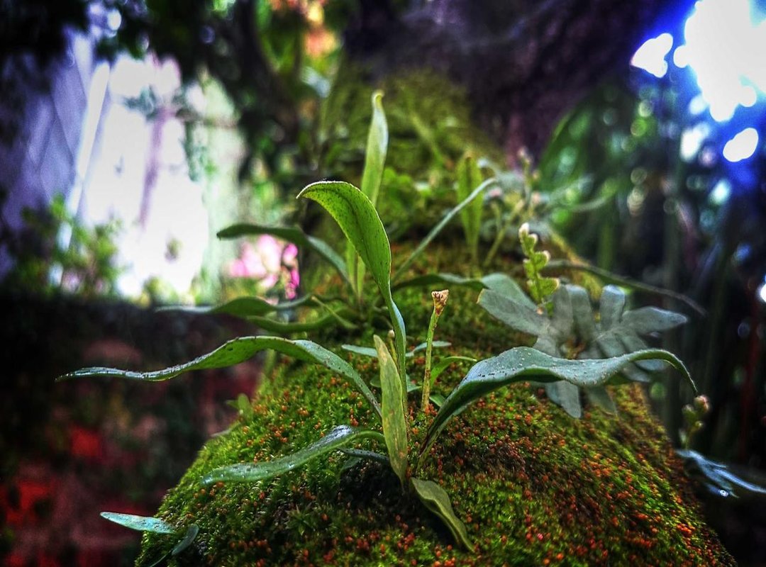 Beyond the Search: PoppyGoldCakes' Actual Content and Community