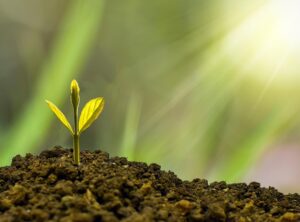 sustainable gaming practices
