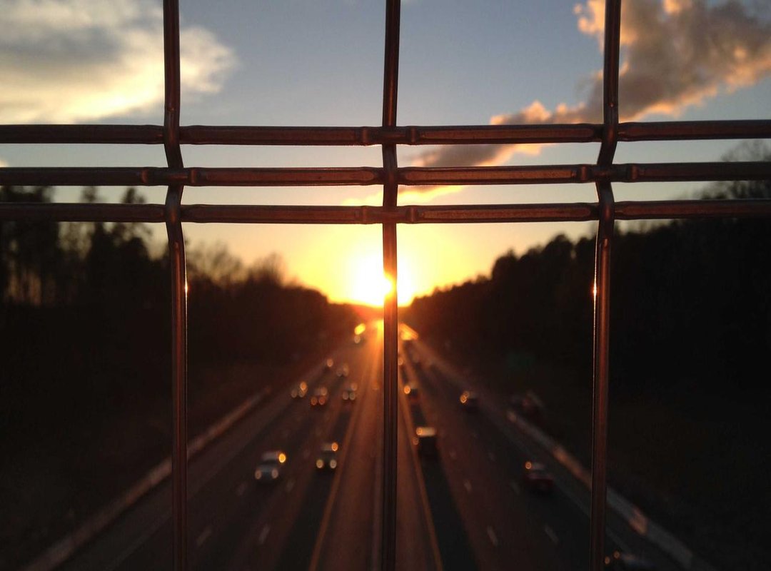 Navigating the Synergy Dashboard: Key Features to Use