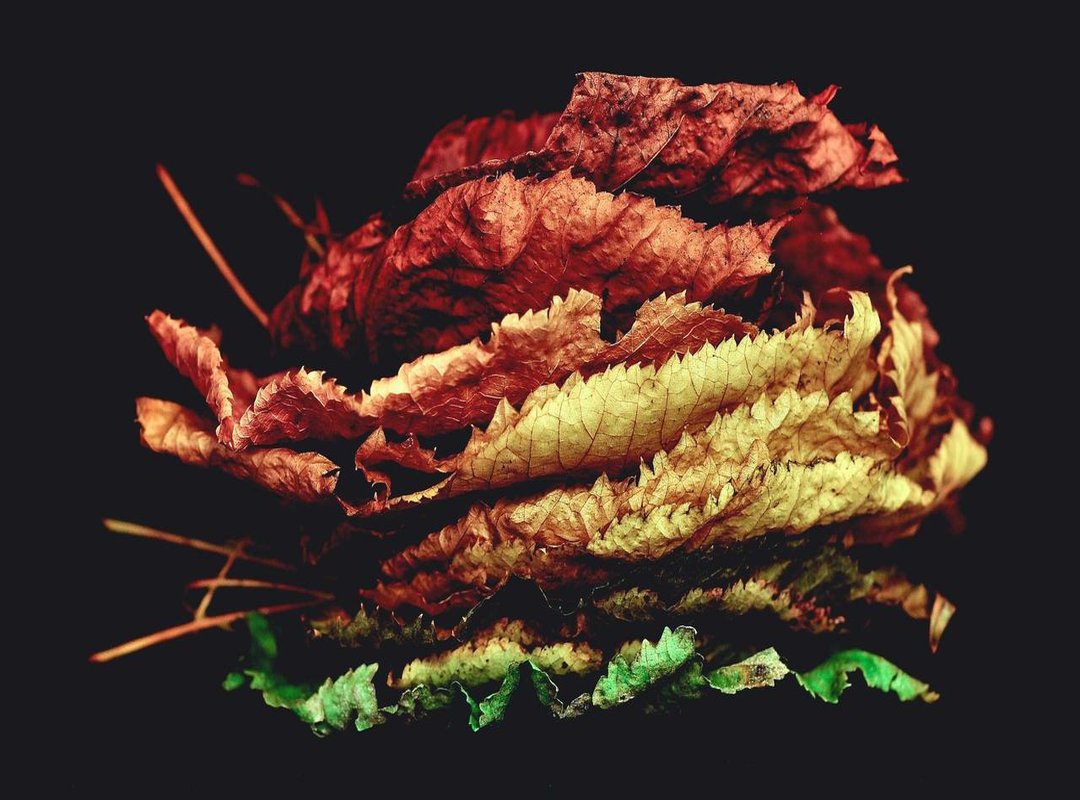 Putting It All Together: Examples from Popular Games